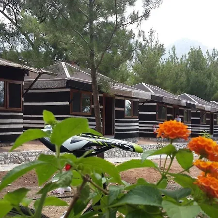 Durusu Ciftlikevleri 3* Датча